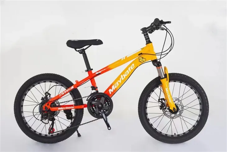 จักรยานวัยรุ่น